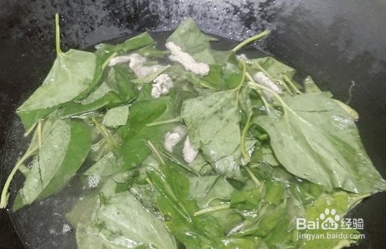 家庭自制鱼腥味草瘦肉汤