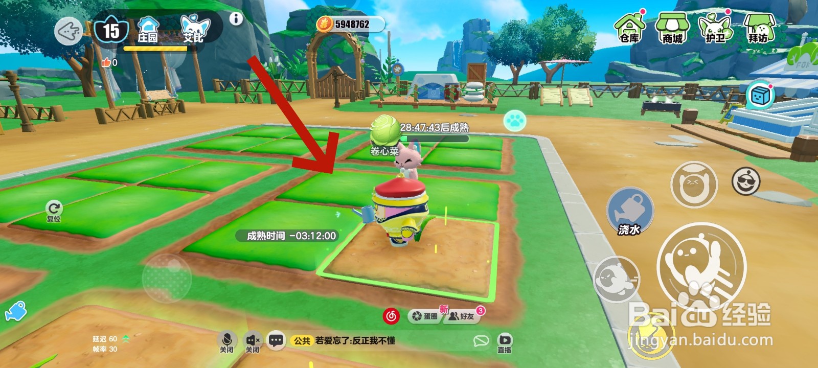 蛋仔派对游戏中给卷心菜浇水的教程