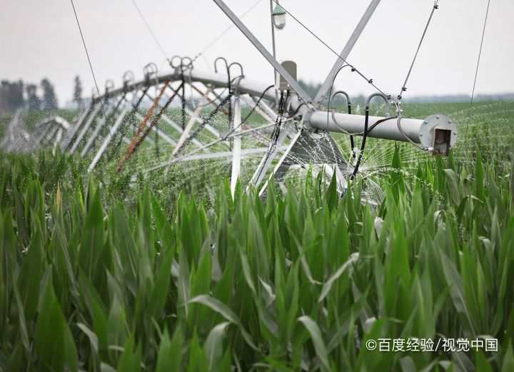 如何简单的提高作物产量