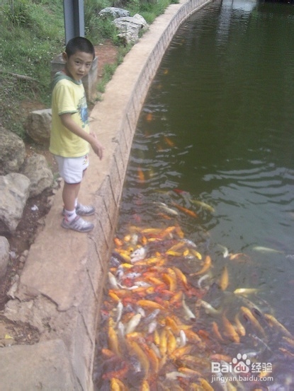 行万里路-带孩子旅游去：[3]云南六日游