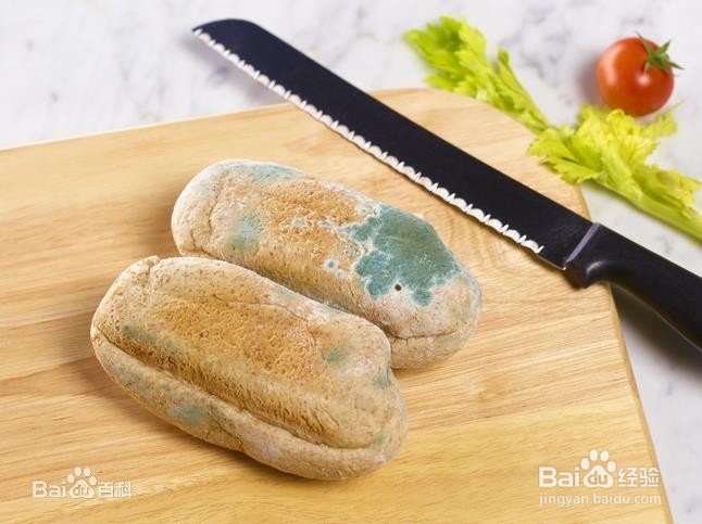 食品腐烂原因