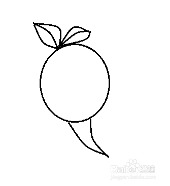 萝卜简笔画怎么画？