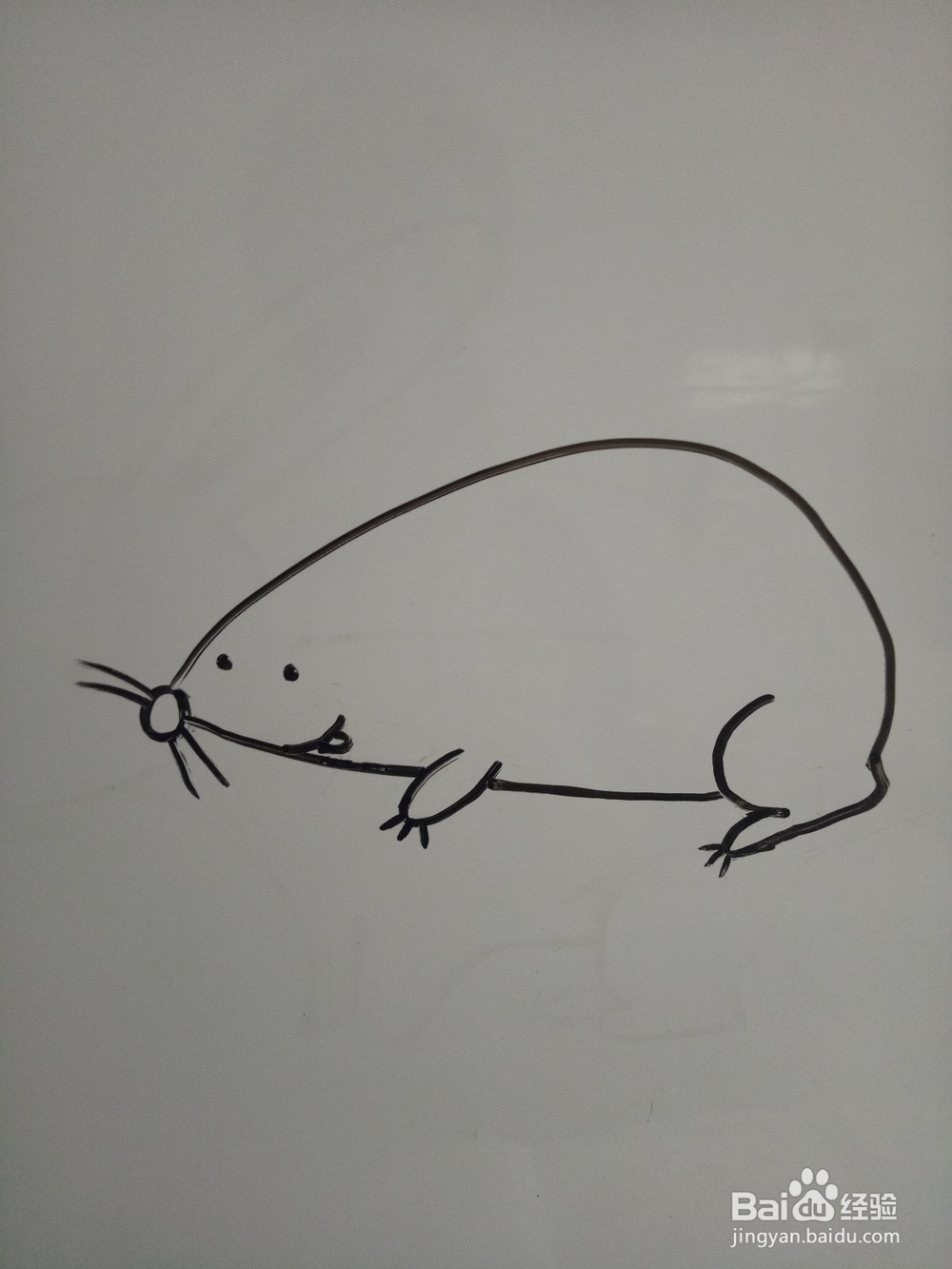 简单的画只小老鼠