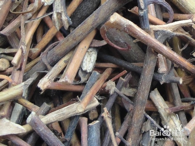 勾藤有什么作用