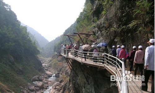 肇庆两日精品旅游攻略