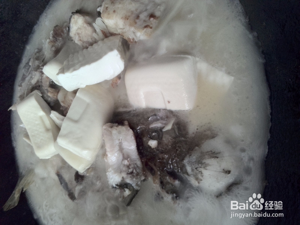 姜丝豆腐草鱼汤