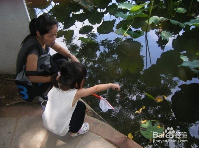 深圳哪里好玩又便宜