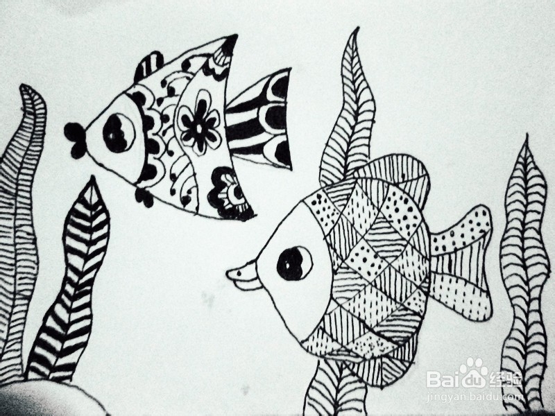 黑白线描画《美丽的鱼儿》的作画步骤