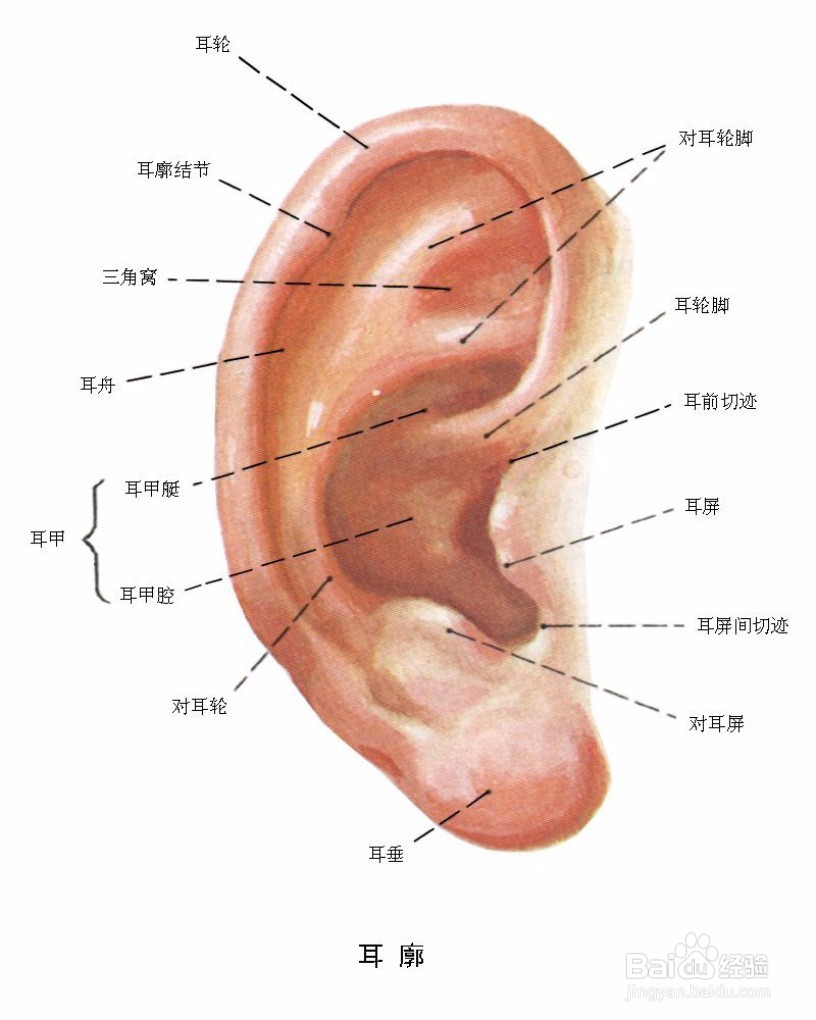我们怎么看世界
