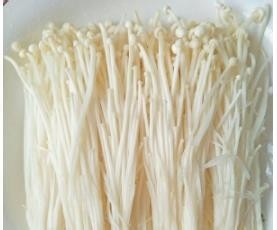 蒜蓉豆瓣酱蒸金针菇 专治没食欲
