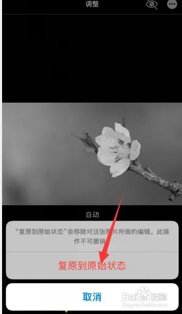 苹果手机照片变黑了如何恢复
