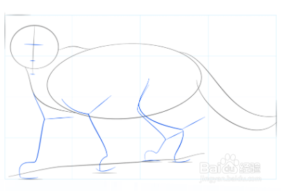 如何画美洲狮宝宝