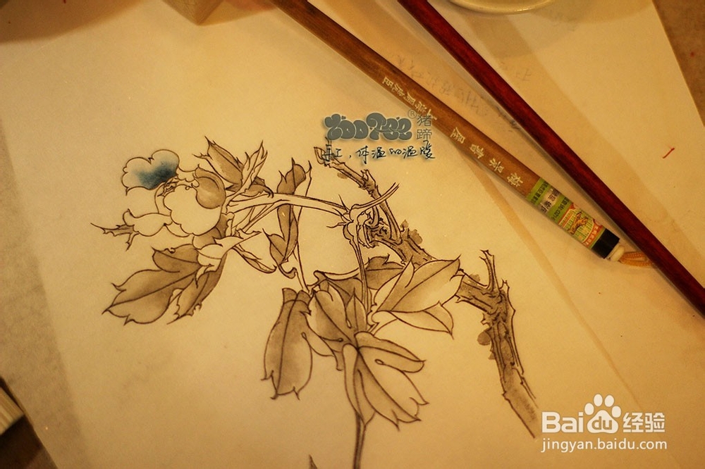 国画工笔花卉技法，起稿上色步骤图以及笔的选择