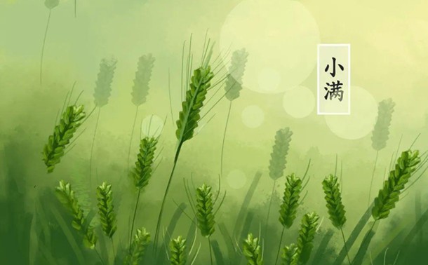 陌上夜匀新雨秀,林间日照绿荫长是什么意思