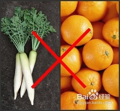 秋季不易一起吃的食物