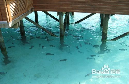 2012蜜月岛旅游攻略