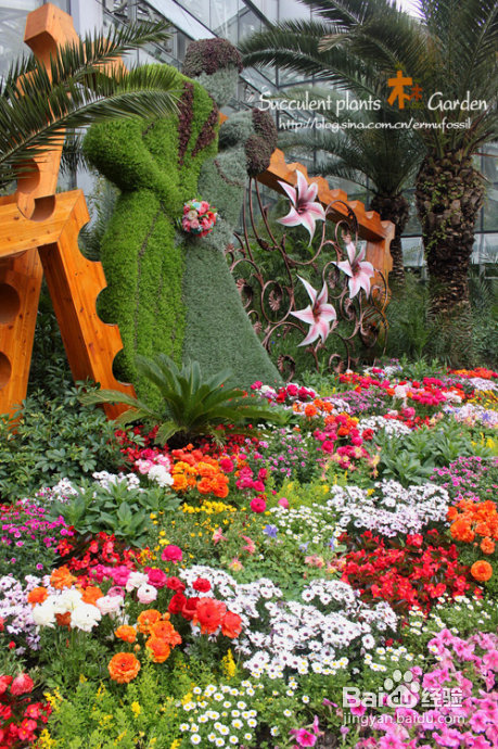 上海植物园（上）