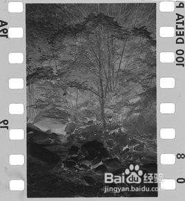 用数码相机底片翻拍技术全攻略