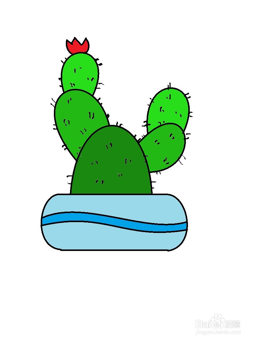 盆栽仙人掌的简单画法