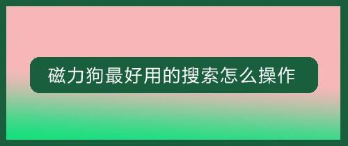 磁力狗最好用的搜索怎么操作