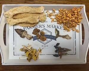 特色新做法野山珍煲土鸡