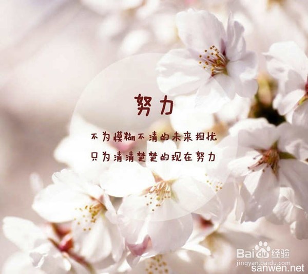 快速提高坐位体前屈成绩方法升级版