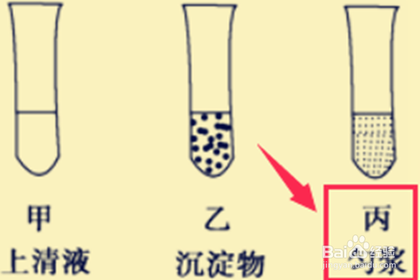 分离细胞器的方法