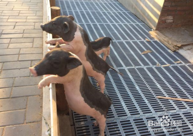 怀柔自驾一日游哪里好玩