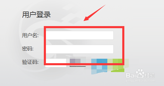 体测成绩在哪里查询