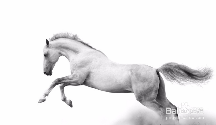 Photoshop制作从水底腾出的水马