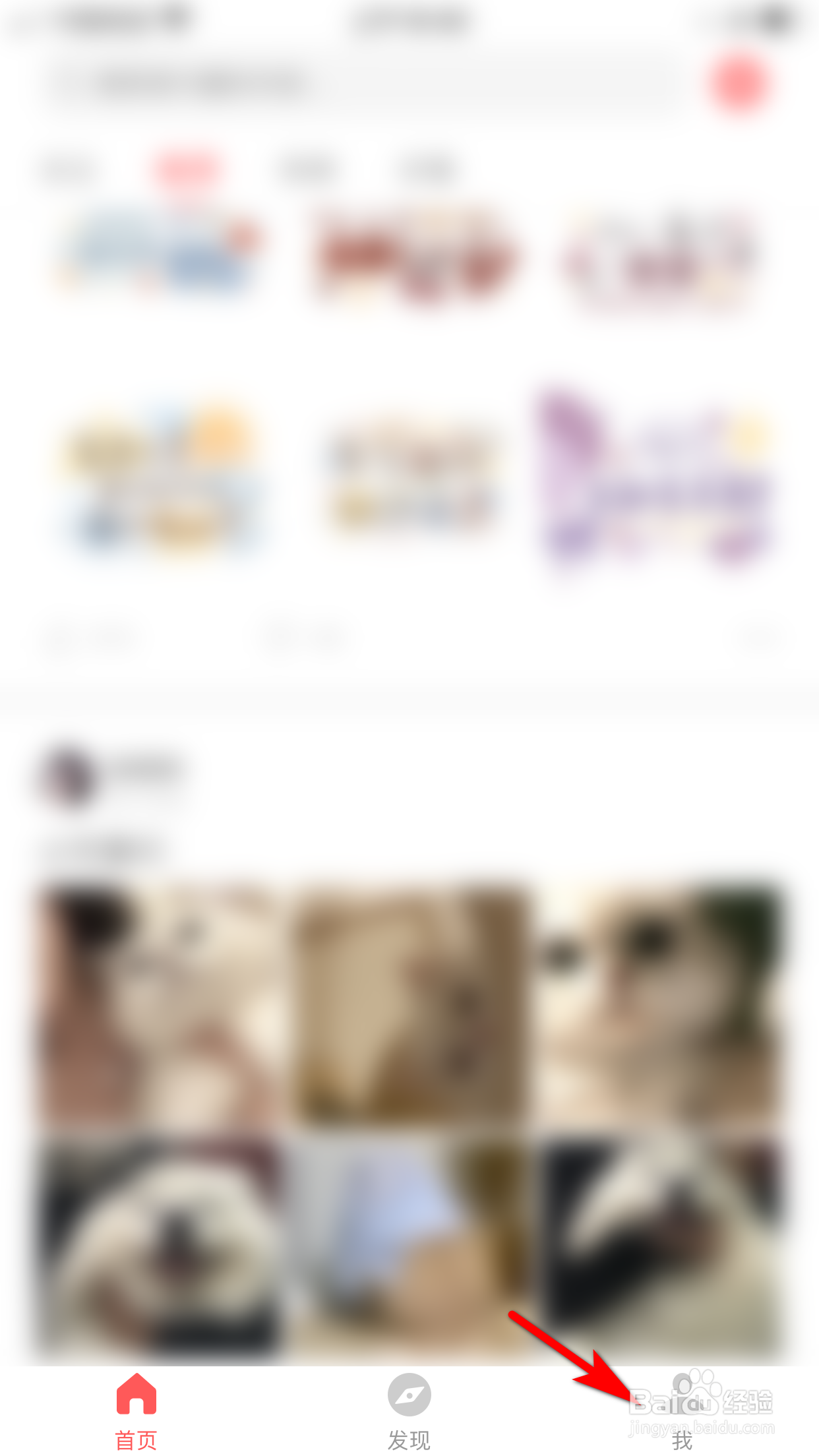 堆糖怎么设置允许向我推送可能感兴趣的广告