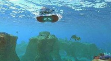 深海迷航海皇孵化酶材料在哪