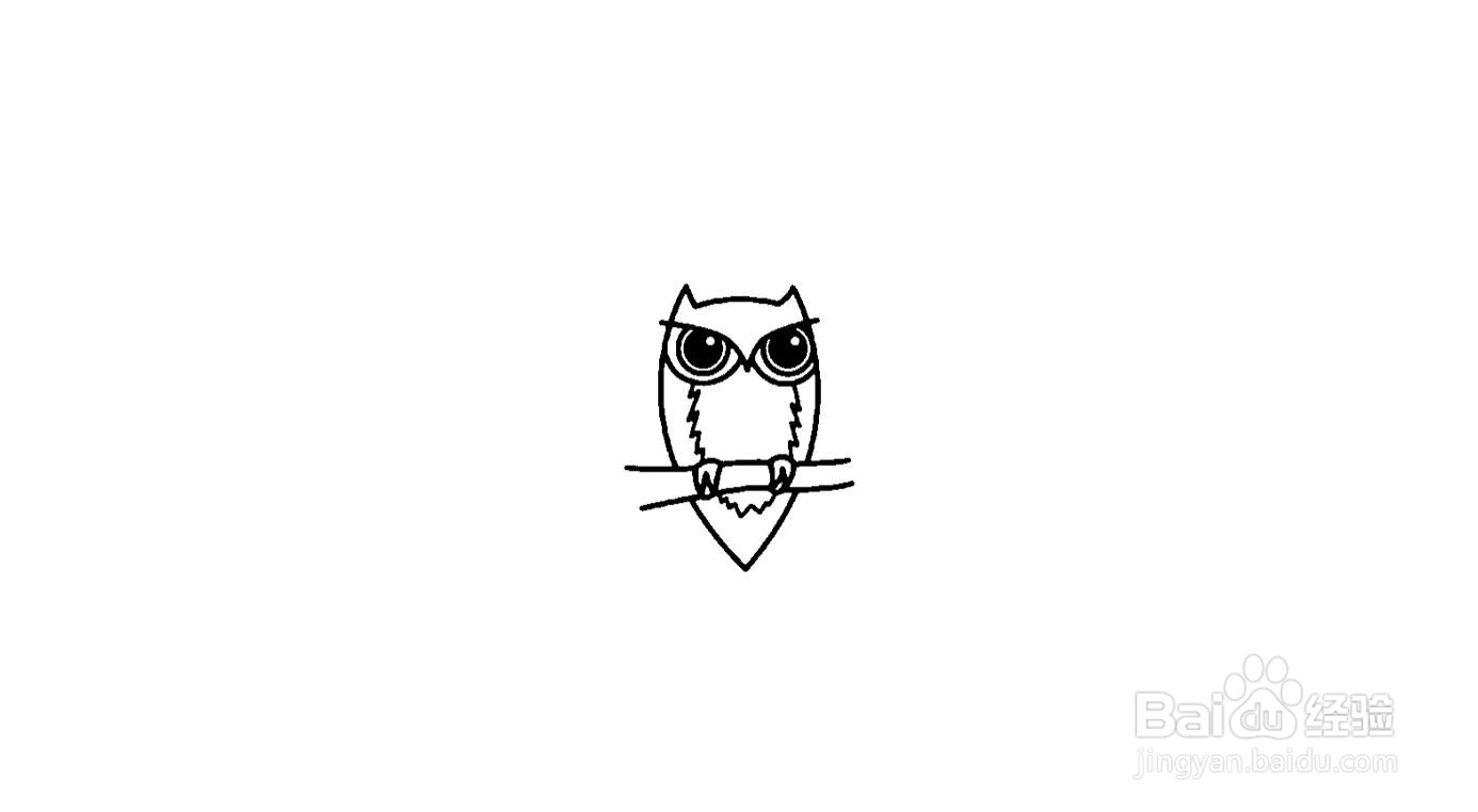 猫头鹰简笔画画法分解