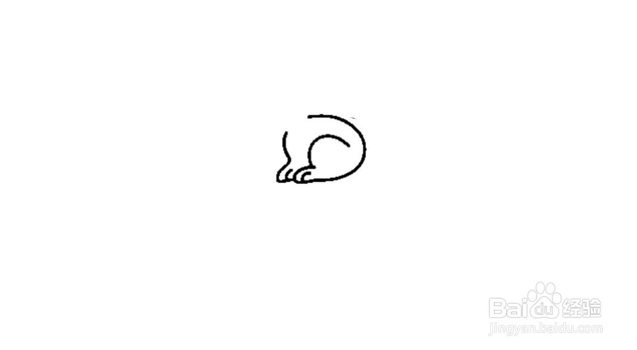 家兔简笔画画法分解