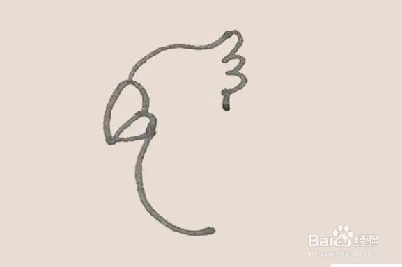 伴儿成长简笔画系列-怎样画鹦鹉简笔画