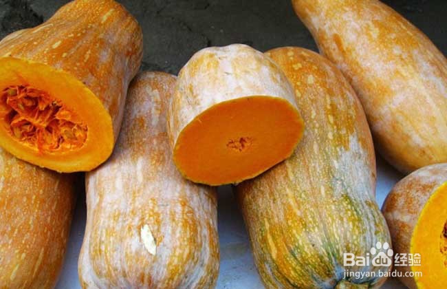 最养胃的十种食物