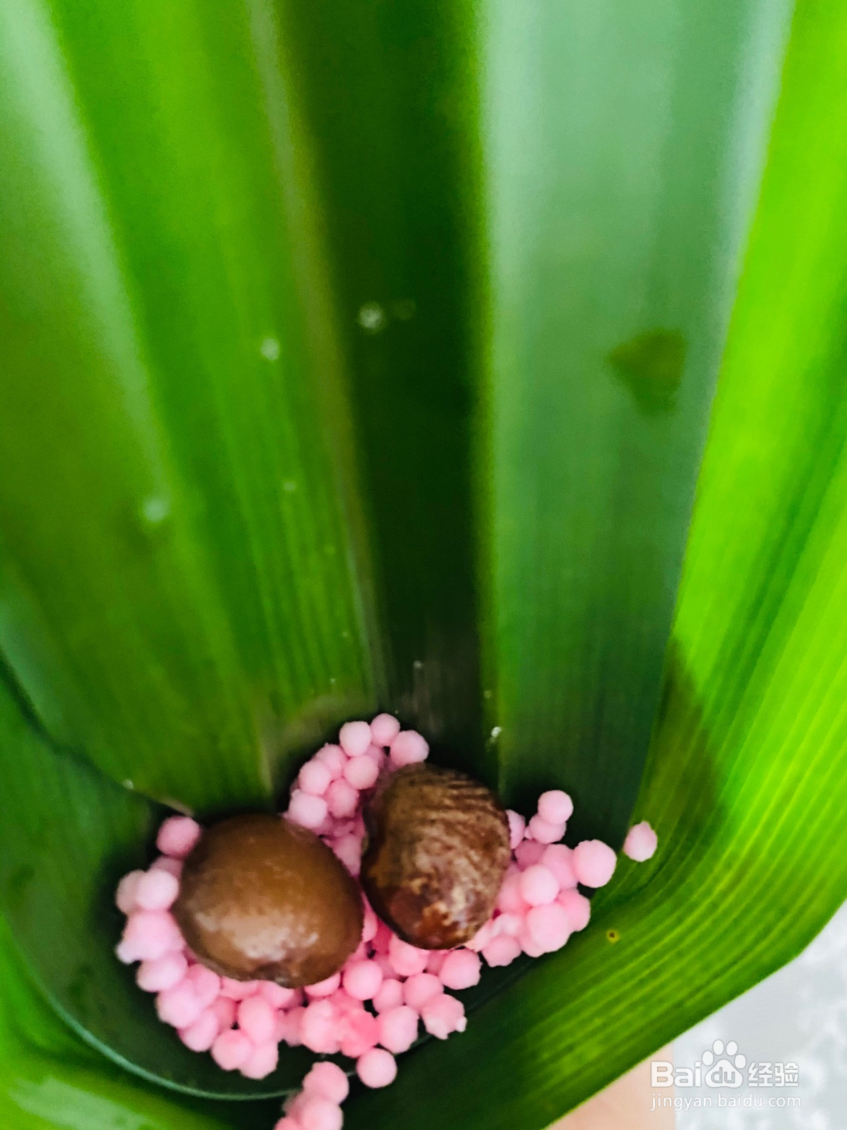 三色粽子的做法