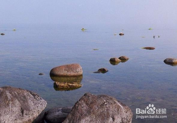 如何尽全力去完成自己该做的事?