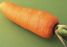 女人饮食养颜法