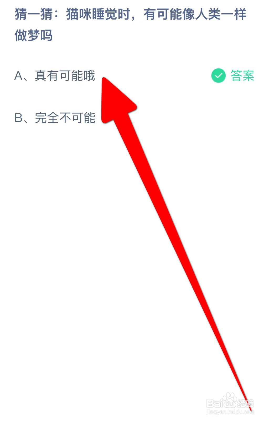 猫咪睡觉时，有可能像人类一样做梦吗蚂蚁庄园