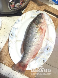 家常炖鱼 啤酒鱼
