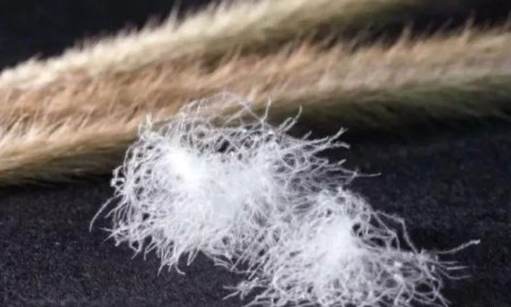 羽绒服和鸭绒有什么区别