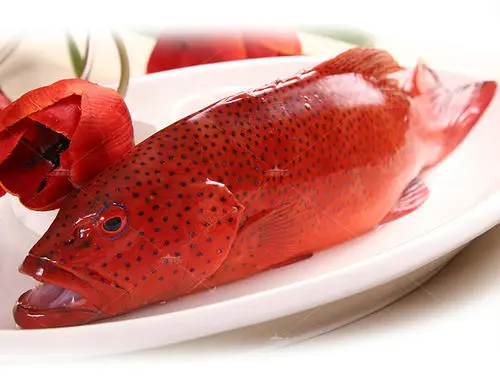 东星斑为什么颜色不一样