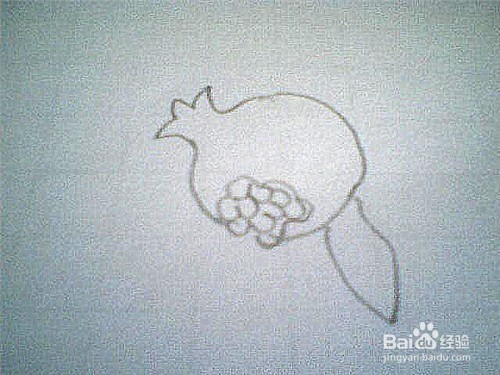 简笔画石榴的画法