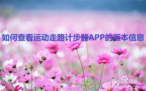 如何查看运动走路计步器APP的版本信息