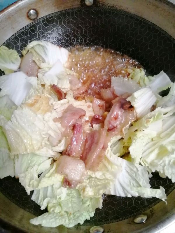 猪肉白菜炖粉条