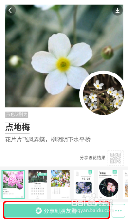 使用识花APP【形色】识别各种植物、花草、果蔬