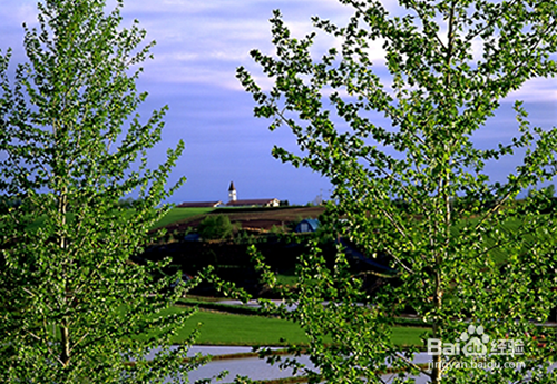 PS如何制作图片的木刻艺术效果