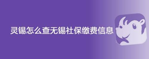 灵锡怎么查无锡社保缴费信息