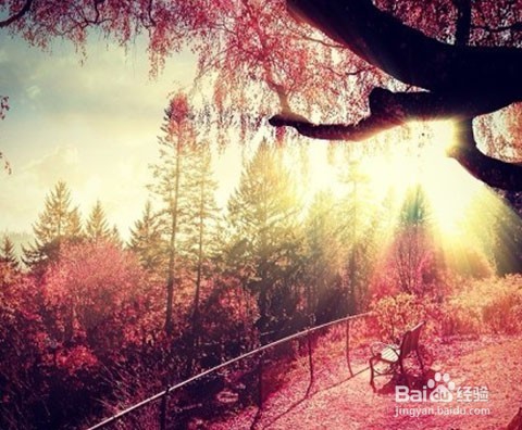 如何有效防止脂肪肝